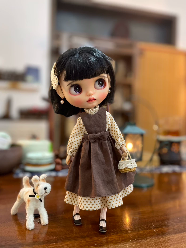 Vintage-Inspired BLYTHE Doll Outfit: Cozy Dress, Apron & Accessories for Collectors - Image 2