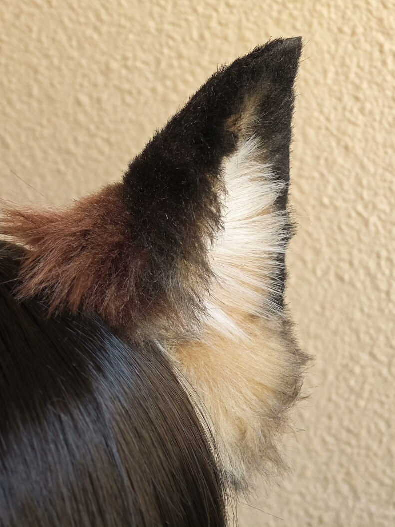 Handmade German Shepherd Ears – Realistic Cosplay Accessory - Image 2