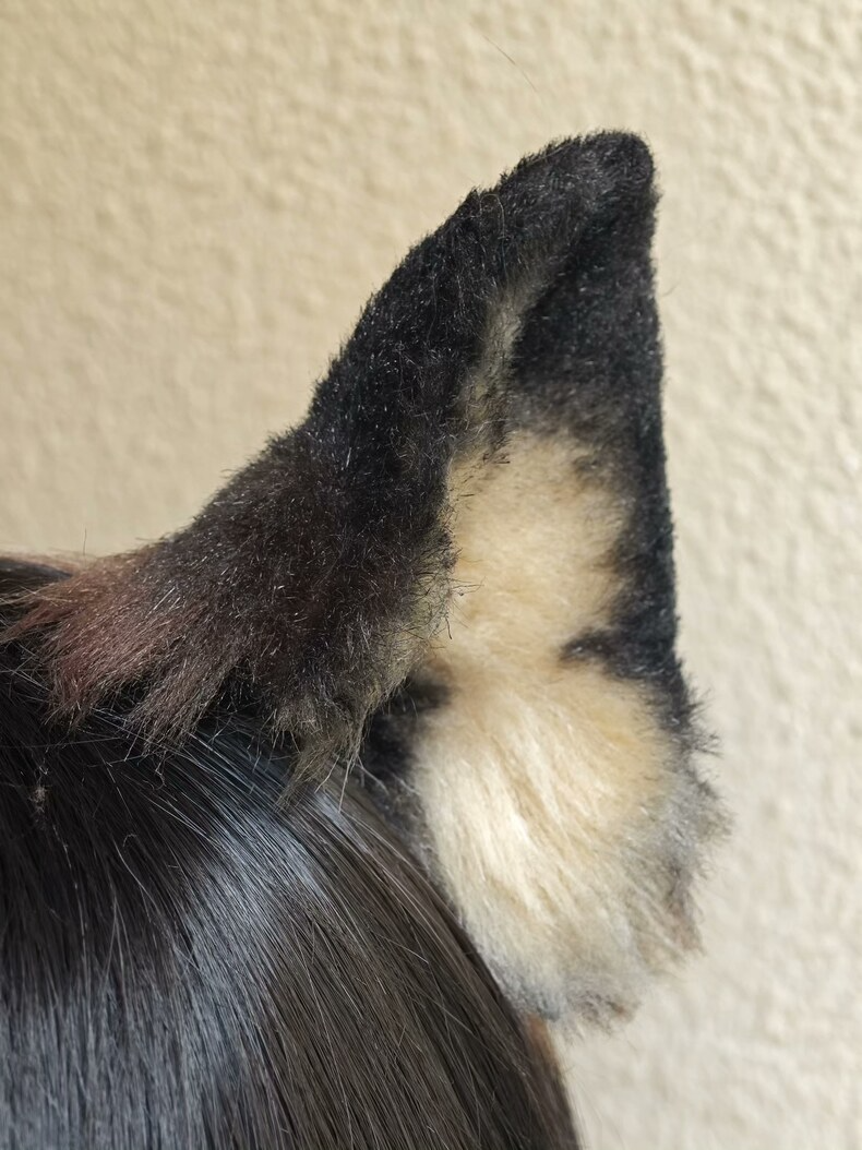 Handmade German Shepherd Ears – Realistic Cosplay Fur - Image 2