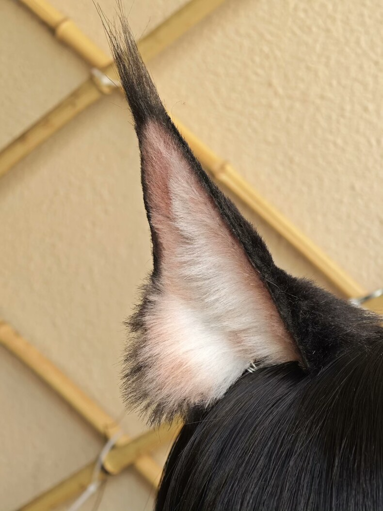 Lifelike Serval Ears – Premium Handmade Cosplay Accessory - Image 1