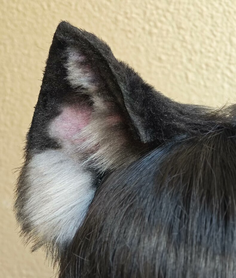 Realistic Black & Gray Cat Ears Headband – Plush Faux Fur - Image 1