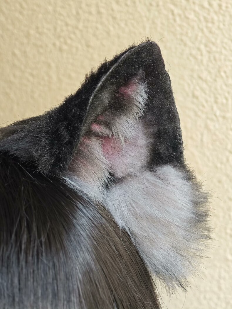 Realistic Black & Gray Cat Ears Headband – Plush Faux Fur - Image 2