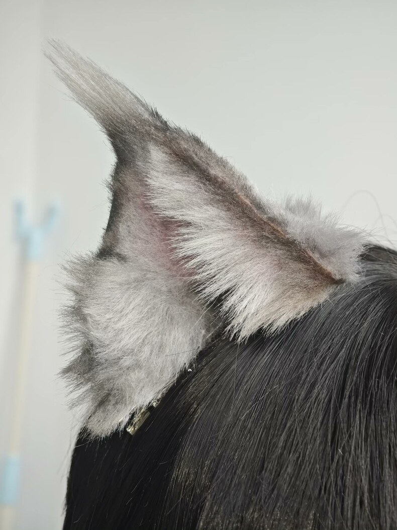 Handmade Maine Coon Cat Ears – Faux Fur Headband - Image 2