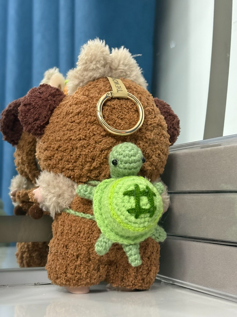 Labubu Capybara Plush Outfit with Turtle Backpack – Soft, Durable & Customizable for Dolls - Image 5