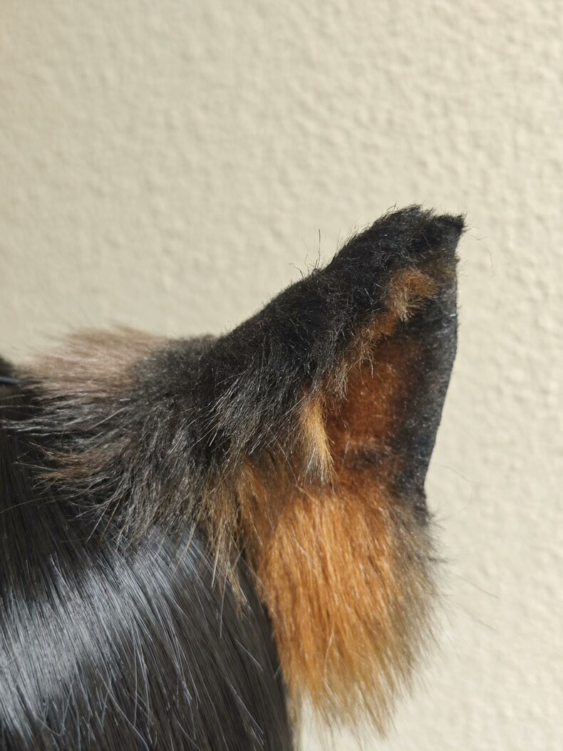 Premium German Shepherd Faux Fur Ears for Cosplay - Image 2