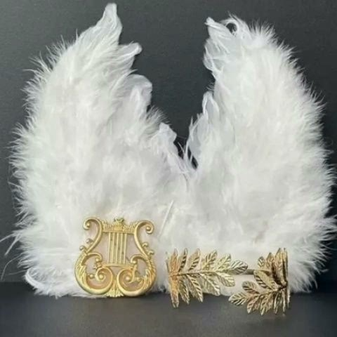 Premium Labubu Angel Outfit: Celestial Wings, Harp & Crown for High-End Doll Collectors - Image 2