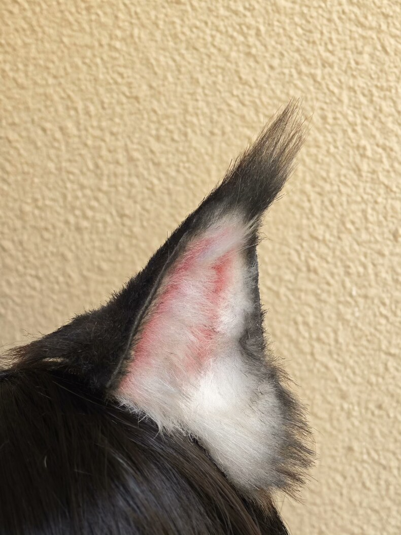 Realistic Brown Cat Ears for Cosplay & Lolita Fashion - Image 2