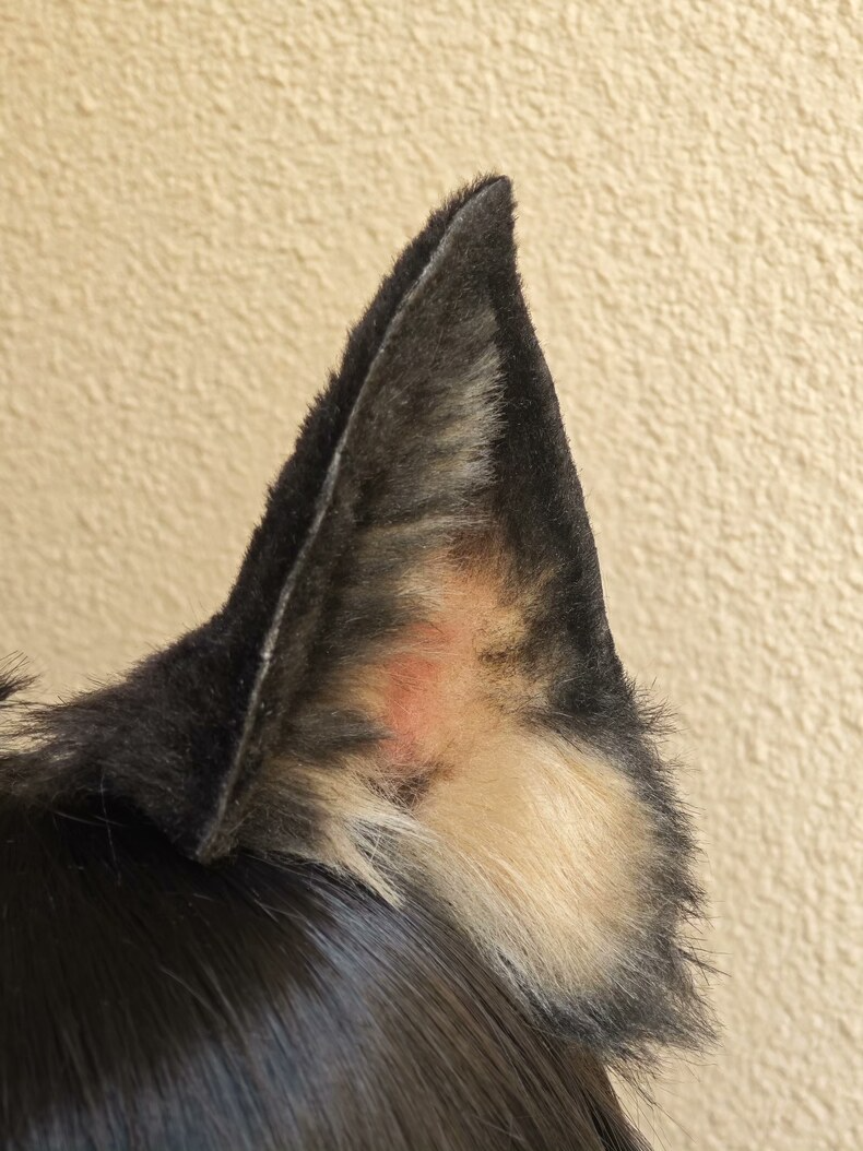 Handmade German Shepherd Ears – Plush Faux Fur Cosplay - Image 2