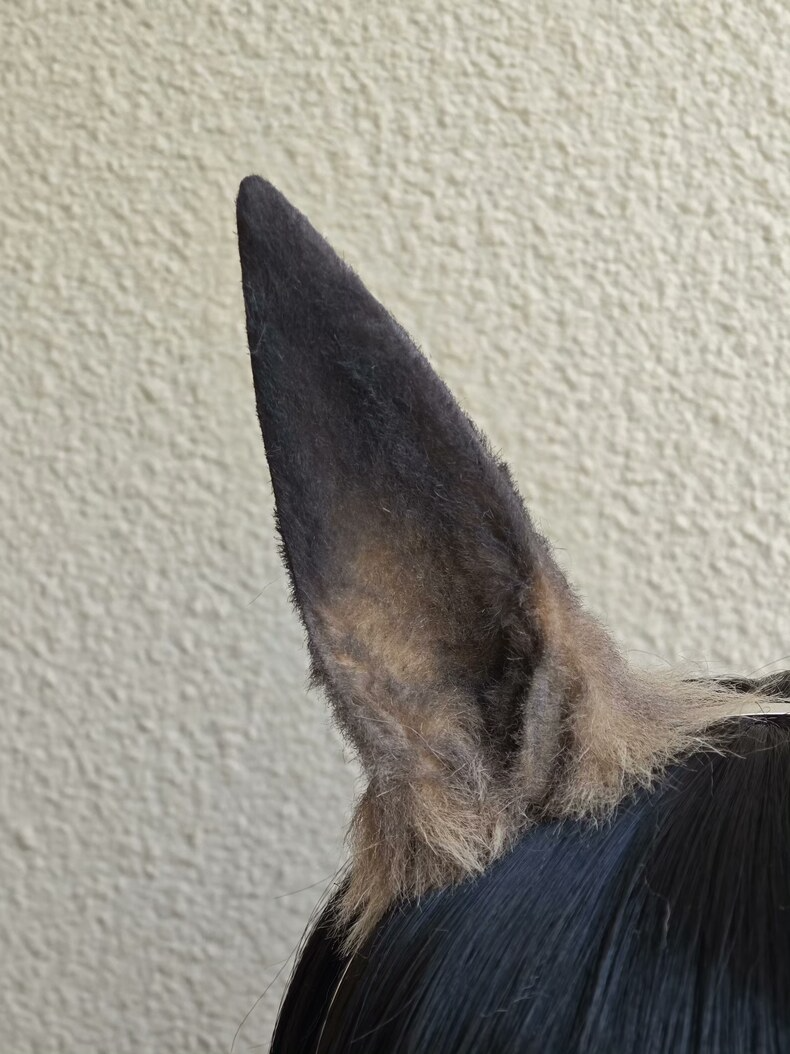 Handmade Plush Horse Ears – Realistic Gradient Brown - Image 1