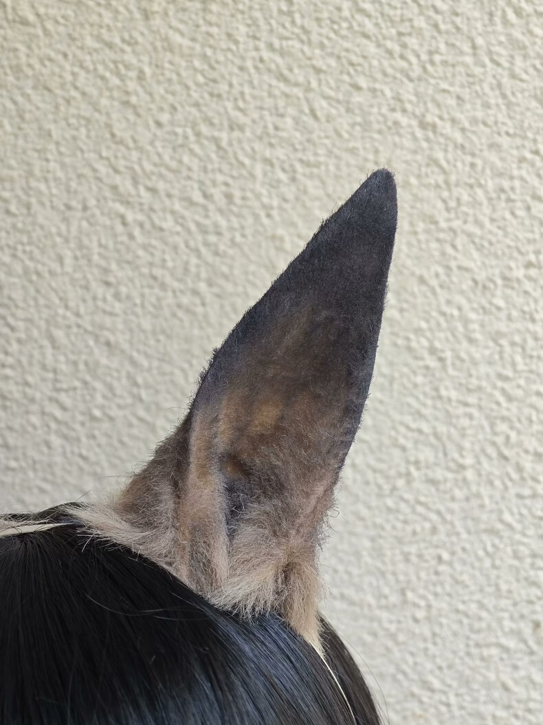 Handmade Plush Horse Ears – Realistic Gradient Brown - Image 2