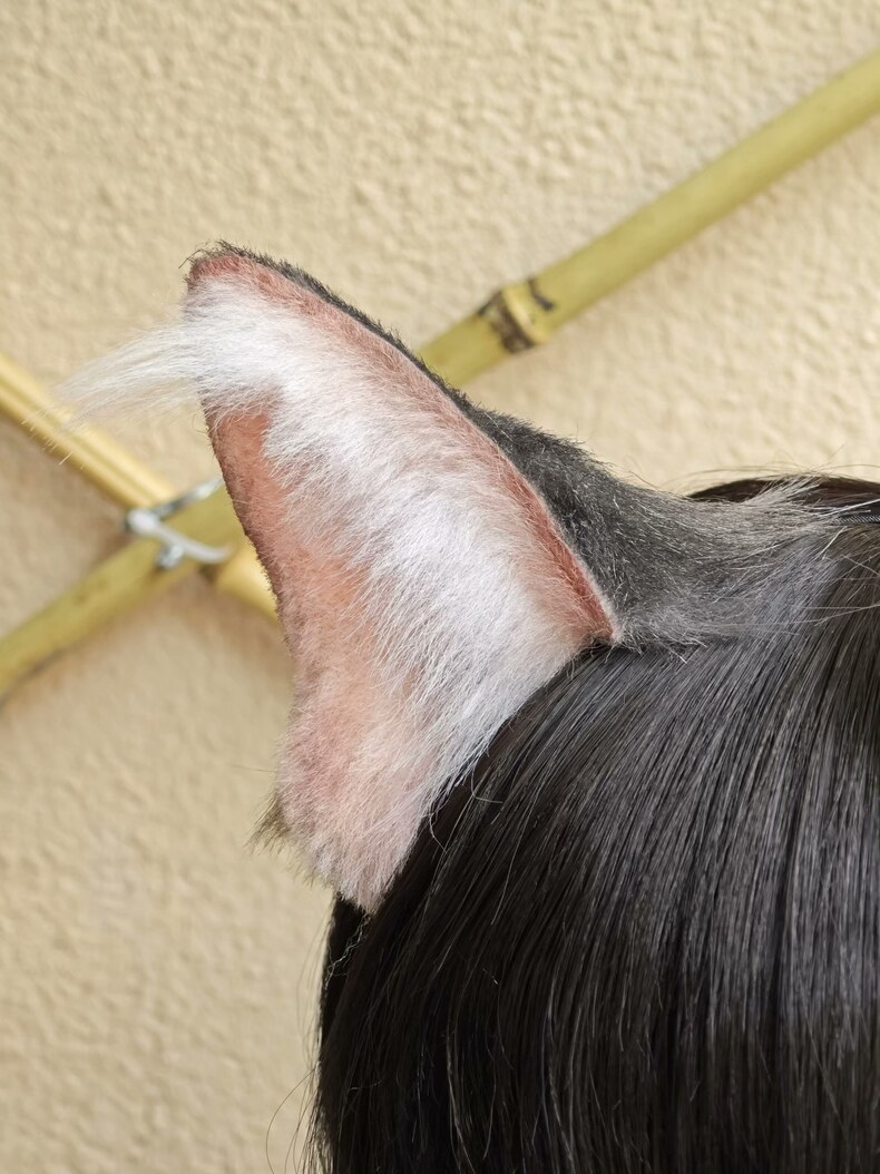 Realistic Tabby Cat Ears Headband – Handmade Faux Fur - Image 1