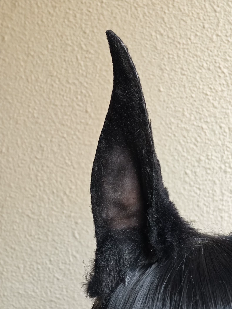 Realistic Handmade Doberman Plush Ears for Cosplay - Image 1