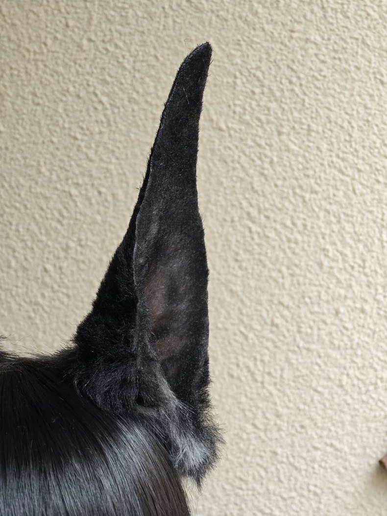 Realistic Handmade Doberman Plush Ears for Cosplay - Image 2