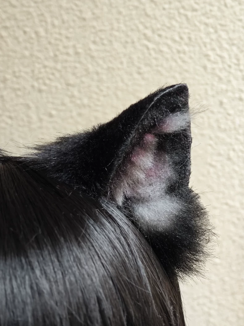 Luxury Realistic Cat Ears Headband – Plush & Lifelike - Image 2